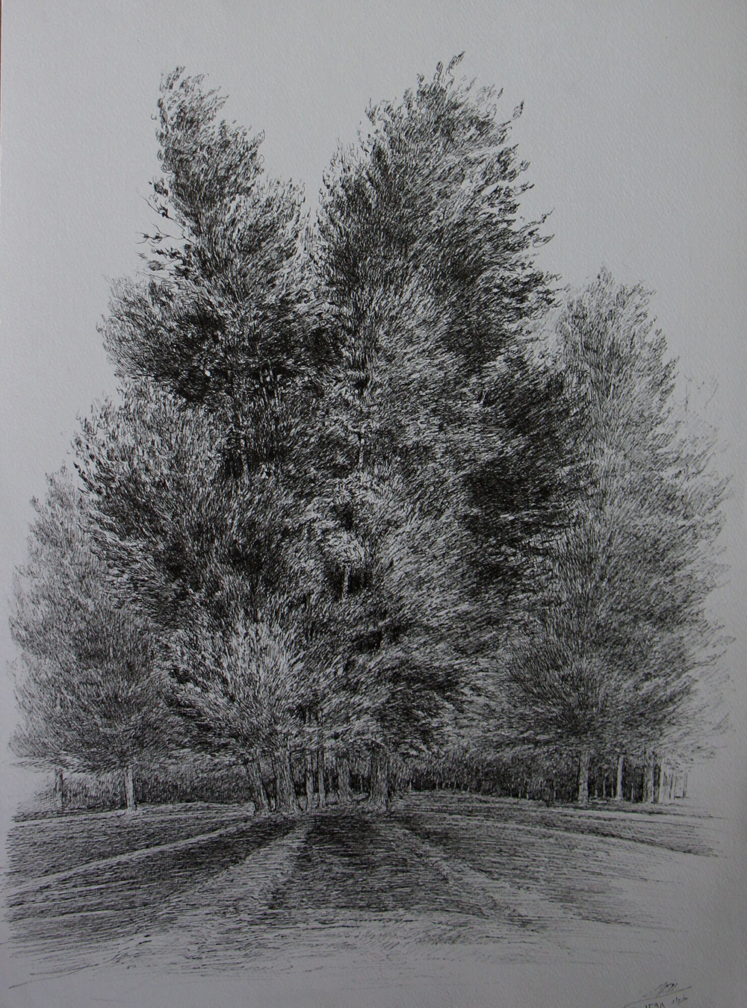 افسانه مسائلی، بدون عنوان، خودکار روی کاغذ، ۵۰x۳۴.۵ سانتی‌متر، ۱۳۹۸