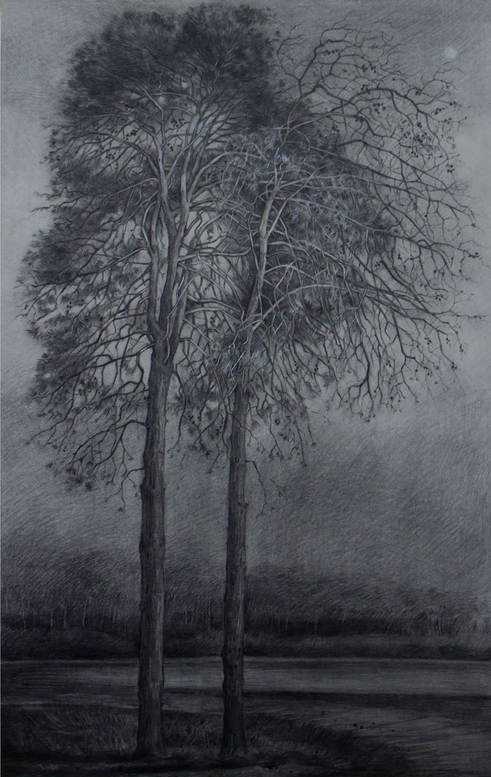 افسانه مسائلی، بدون عنوان، مداد روی کاغذ، ۴۸.۳x۳۱ سانتی‌متر، ۱۳۹۷