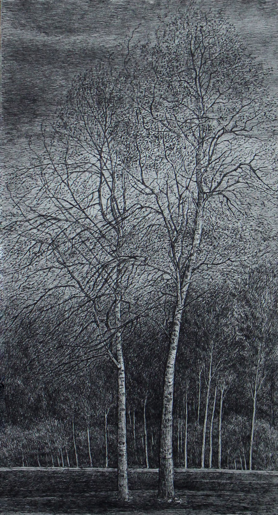 افسانه مسائلی، بدون عنوان، خودکار روی کاغذ، ۴۷.۳x۲۶ سانتی‌متر، ۱۳۹۷