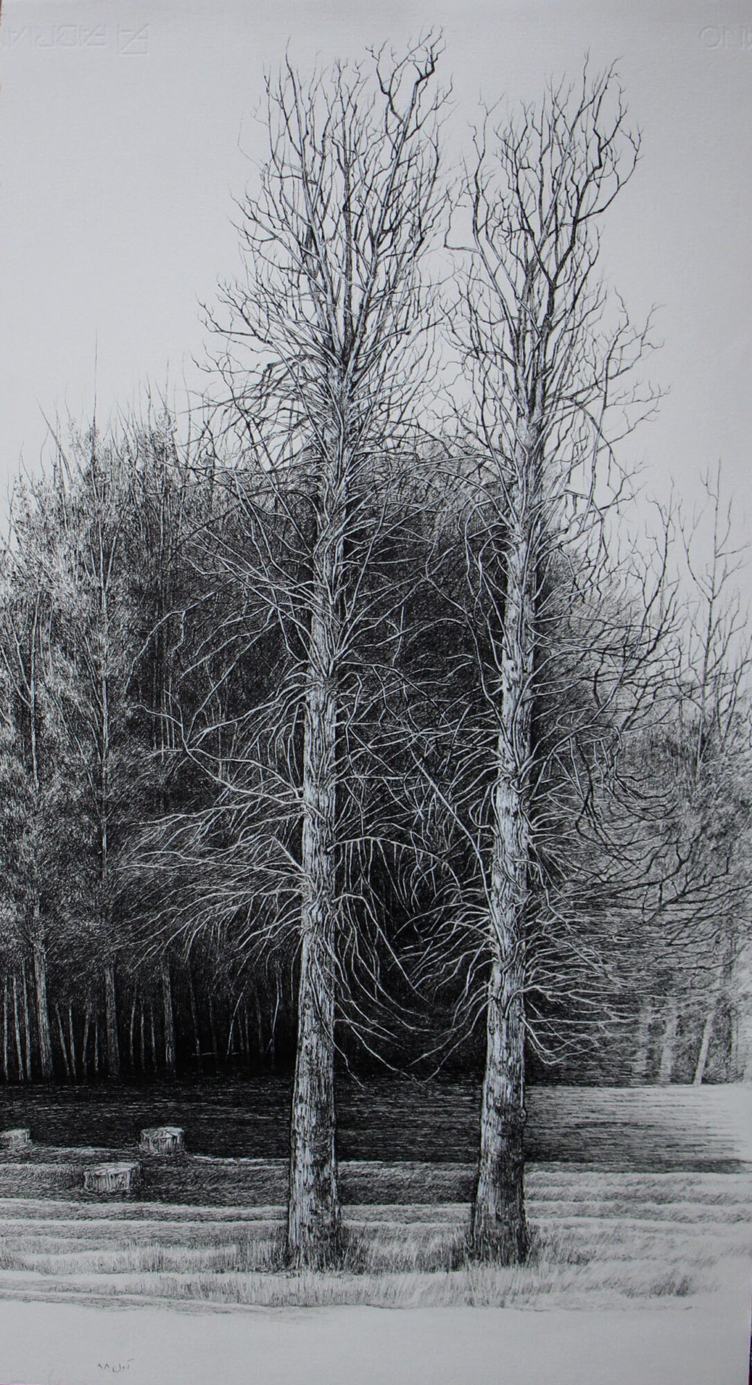 افسانه مسائلی، بدون عنوان، خودکار روی کاغذ، ۶۶.۴x۳۶.۳ سانتی‌متر، ۱۳۹۷