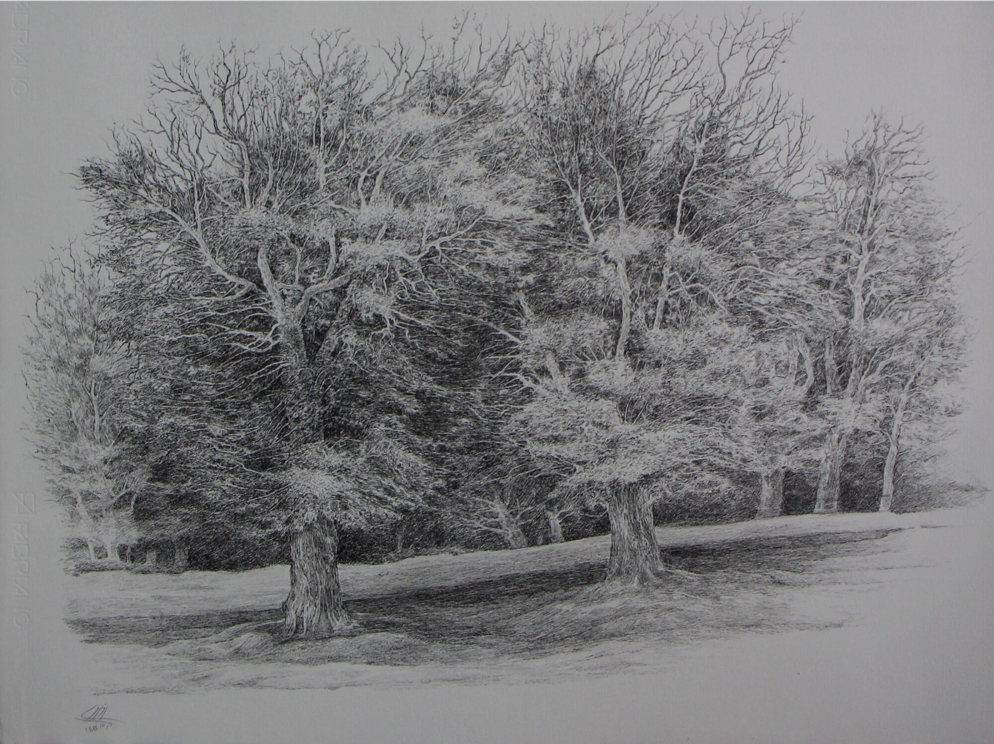 افسانه مسائلی، بدون عنوان، خودکار روی کاغذ، ۵۰x۶۶.۷ سانتی‌متر، ۱۳۹۹