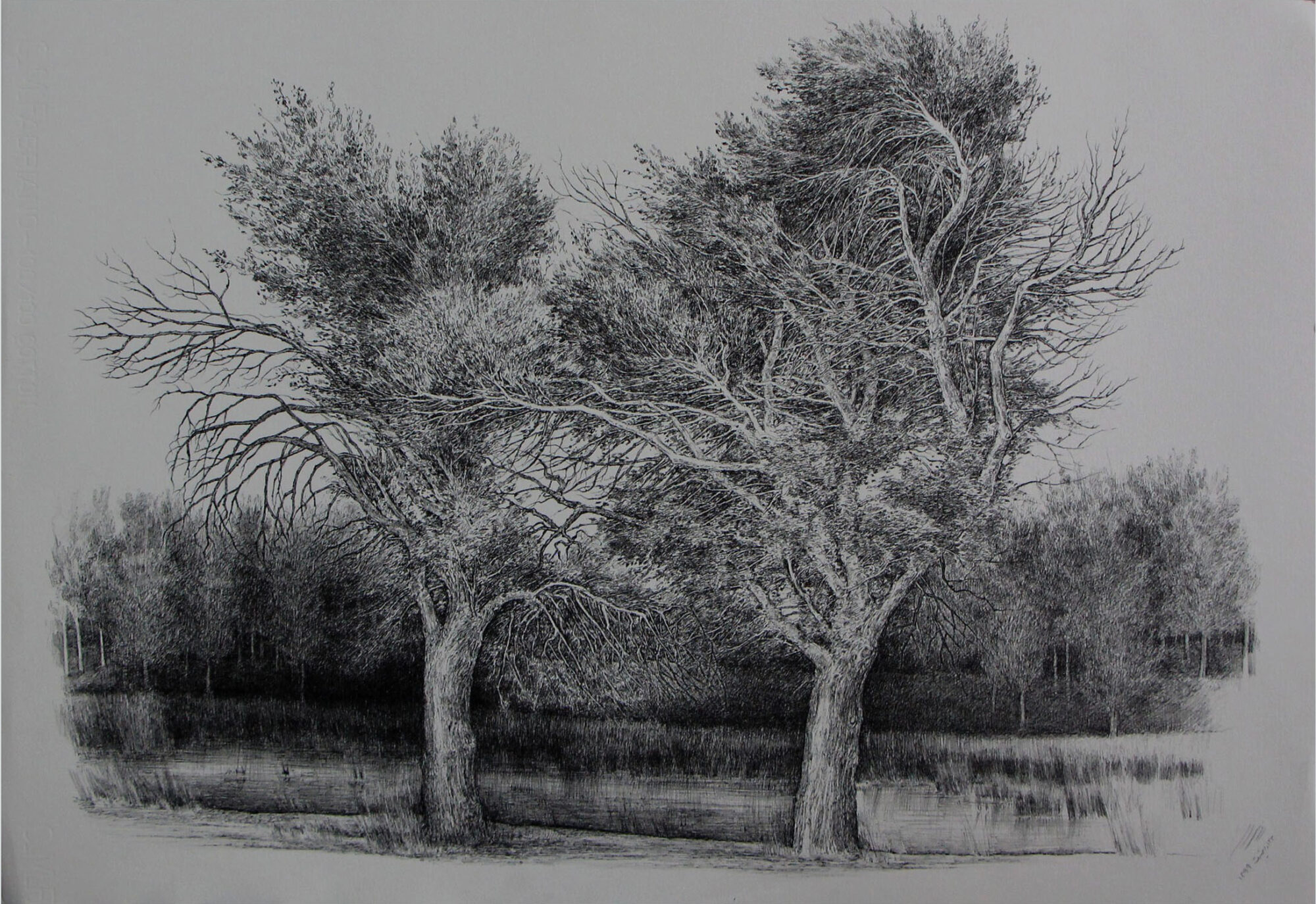 افسانه مسائلی، بدون عنوان، خودکار روی کاغذ، ۴۷x۶۶.۷ سانتی‌متر، ۱۳۹۹