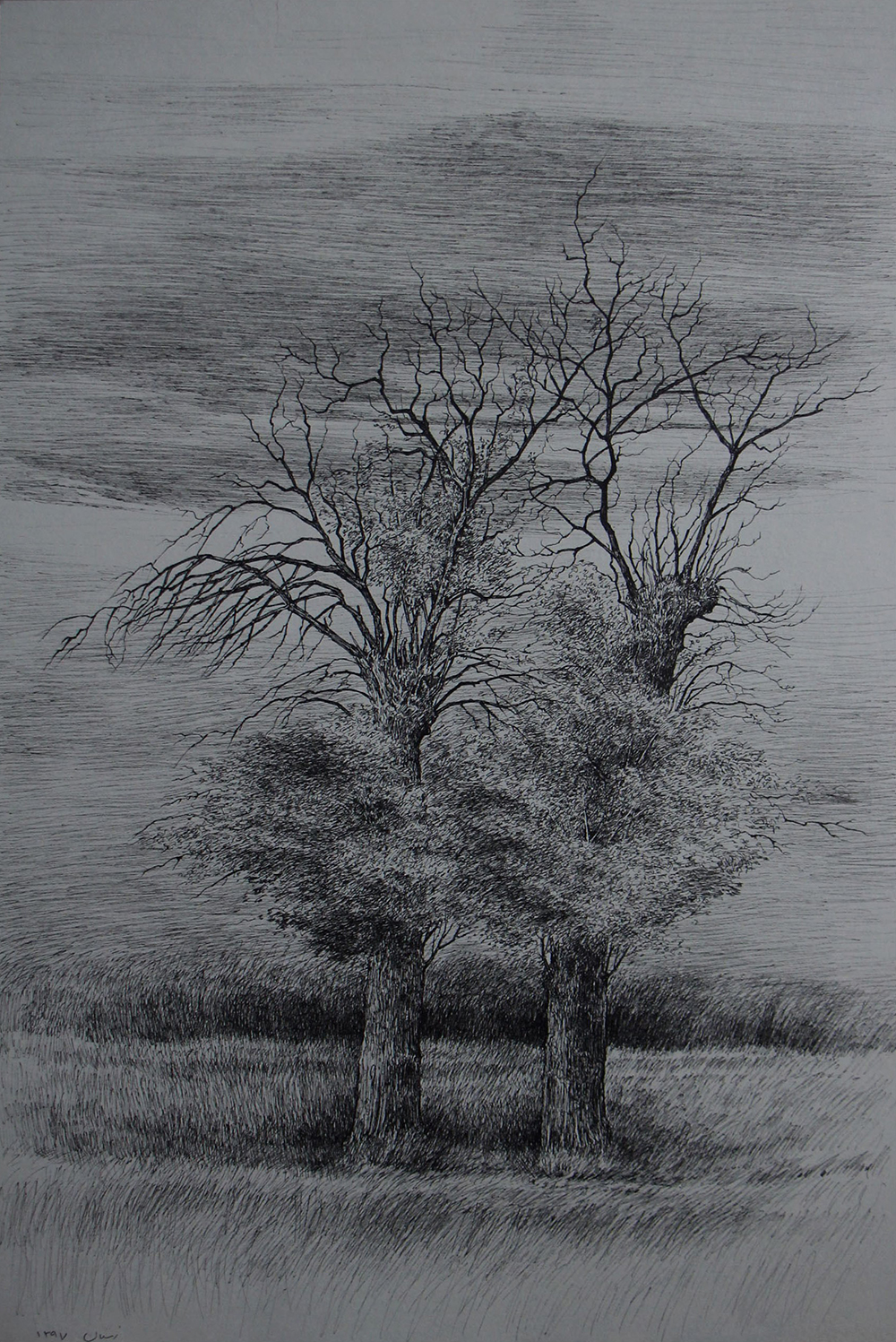 افسانه مسائلی، بدون عنوان، خودکار روی کاغذ، ۴۶x۳۱ سانتی‌متر، ۱۳۹۷