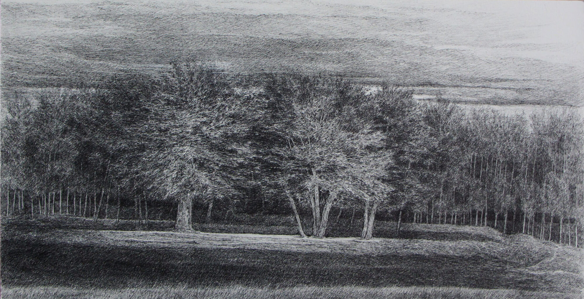 افسانه مسائلی، بدون عنوان، خودکار روی کاغذ، ۳۳x۶۴ سانتی‌متر، ۱۳۹۹