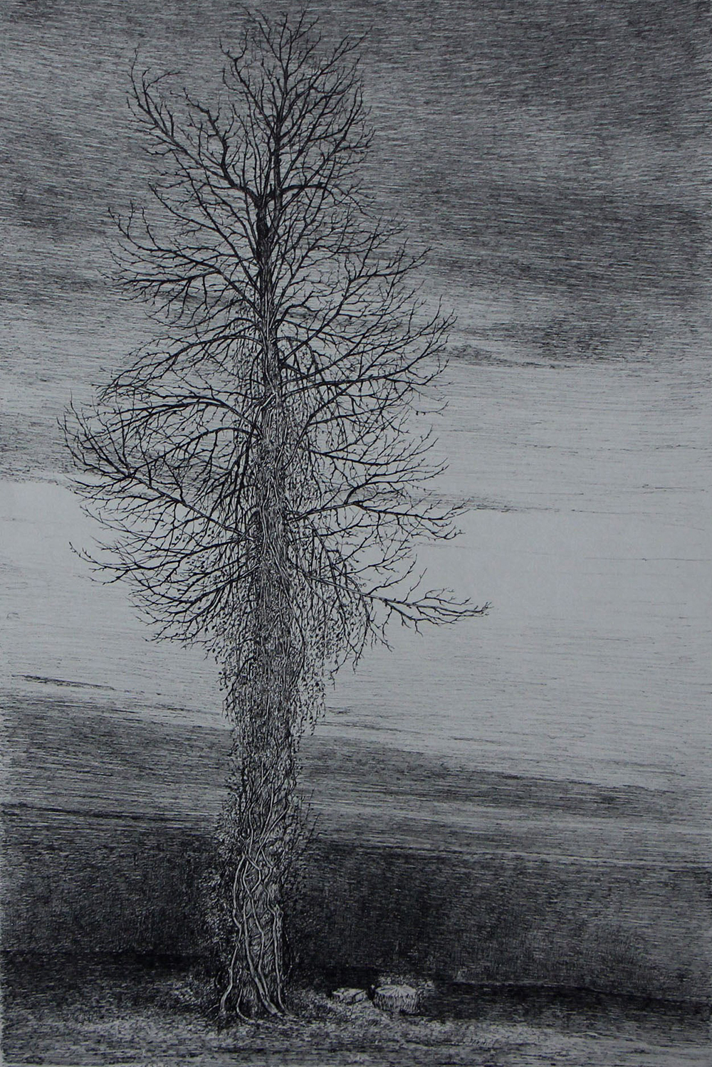 افسانه مسائلی، بدون عنوان، خودکار روی کاغذ، ۴۷.۵x۳۱ سانتی‌متر، ۱۳۹۶