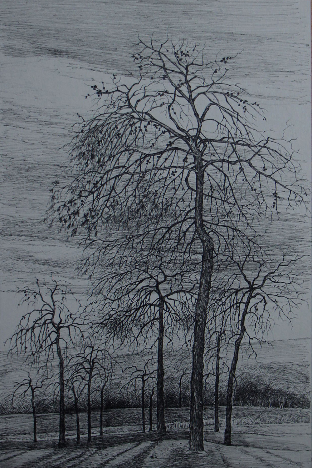 افسانه مسائلی، بدون عنوان، خودکار روی کاغذ، ۳۳x۲۲ سانتی‌متر، ۱۳۹۸