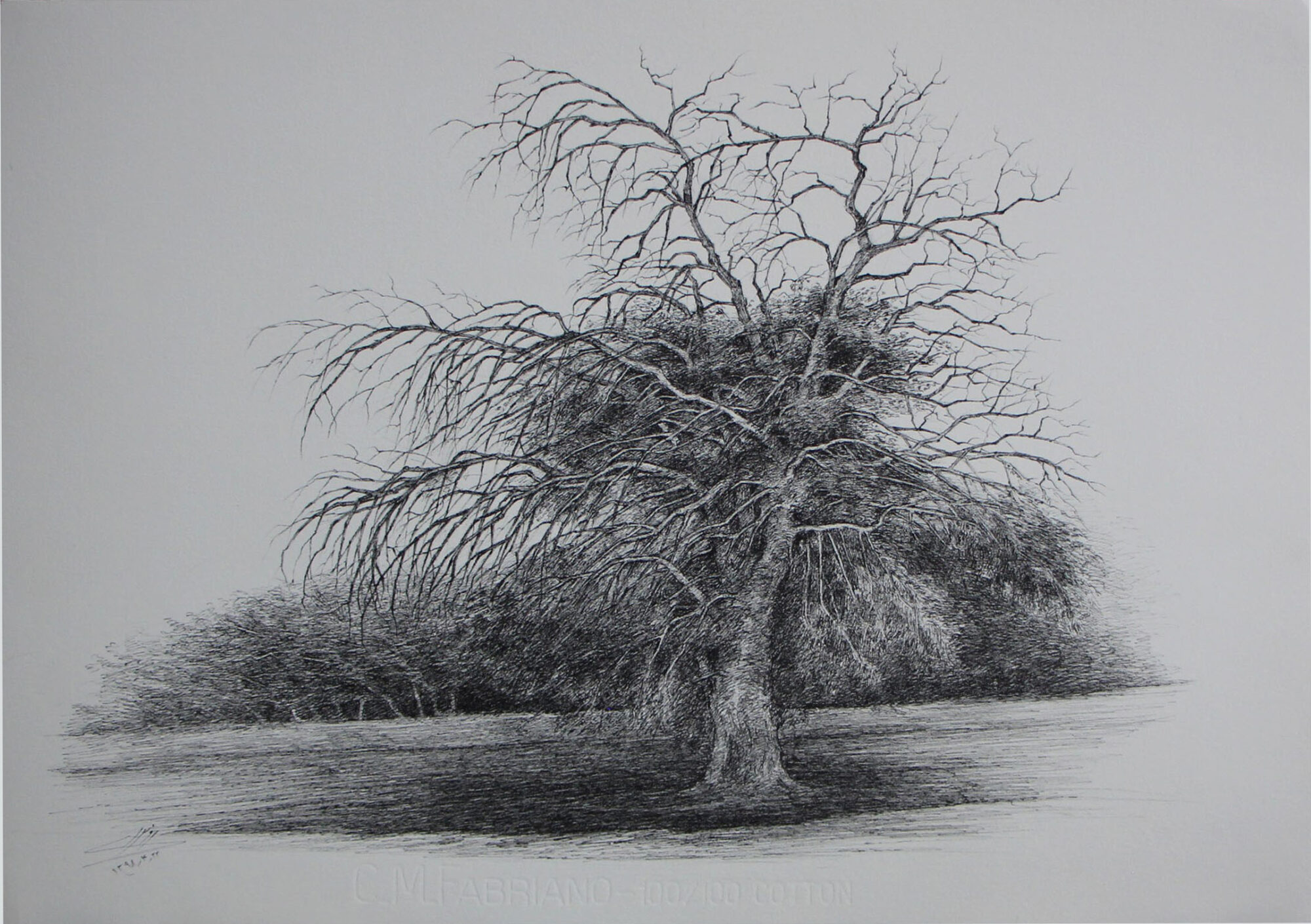 افسانه مسائلی، بدون عنوان، خودکار روی کاغذ، ۳۴.۵x۵۰ سانتی‌متر، ۱۳۹۸