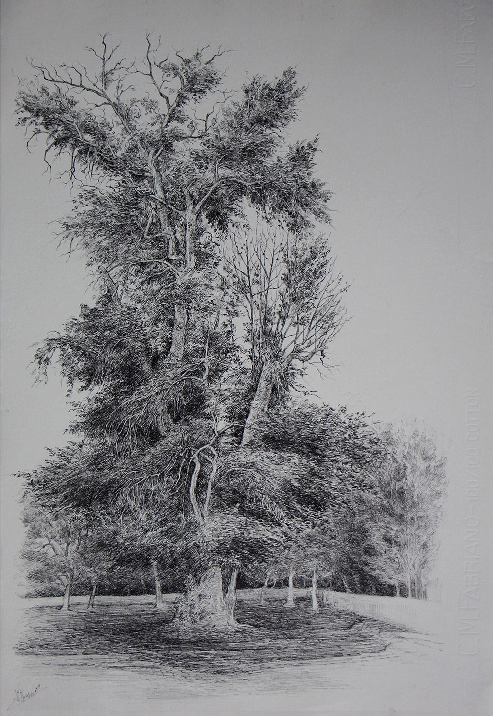 افسانه مسائلی، بدون عنوان، خودکار روی کاغذ، ۵۰x۳۵ سانتی‌متر، ۱۳۹۸