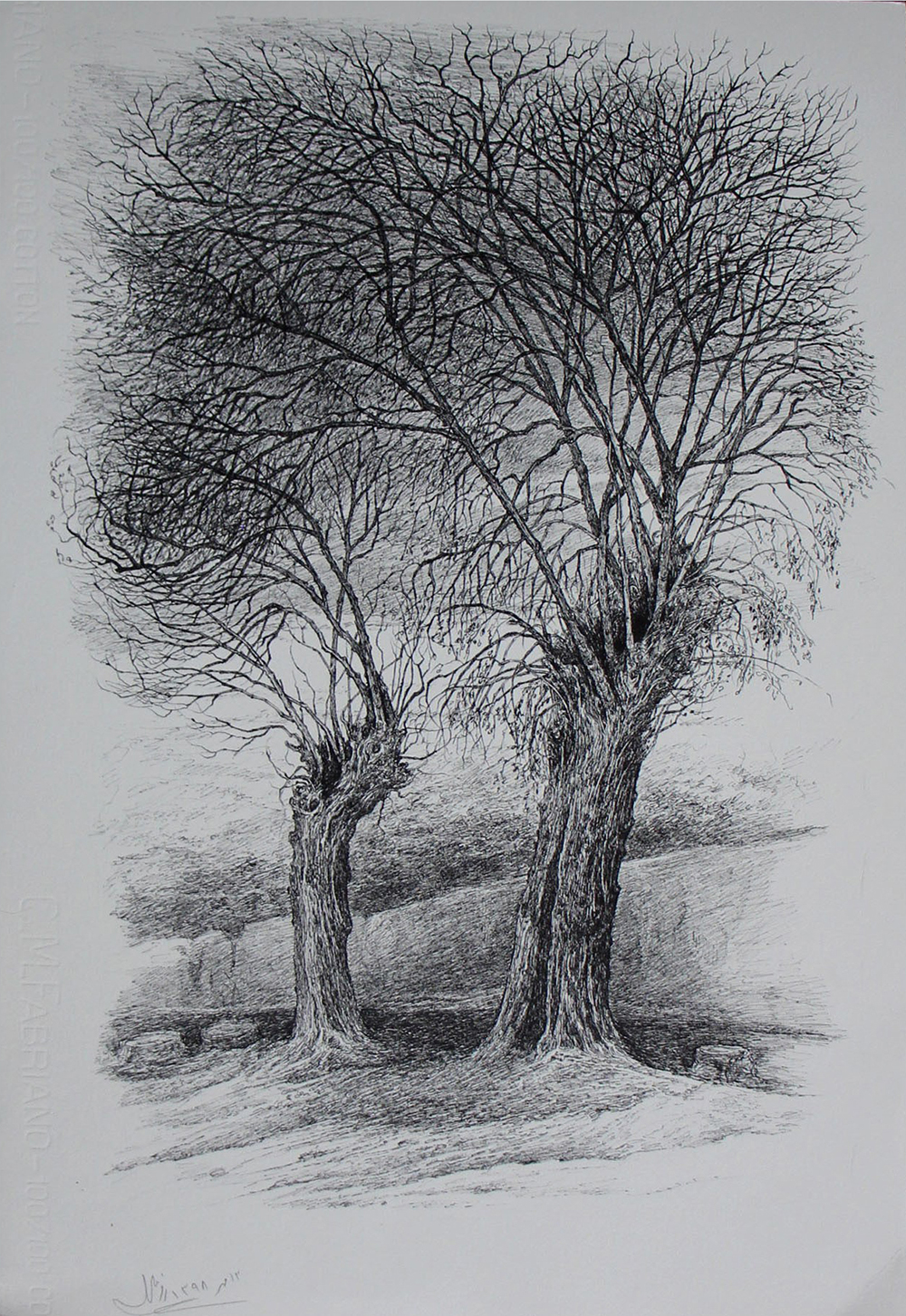 افسانه مسائلی، بدون عنوان، خودکار روی کاغذ، ۵۰x۳۵ سانتی‌متر، ۱۳۹۸